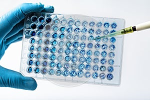 Biologist in lab holding a 96 well multi plate with biological samples for analysis