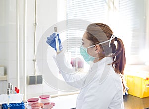 Biologist looking at test tube with bacteria