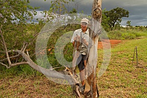 Biologist out in the savannas of Brazil, inspecting a tree