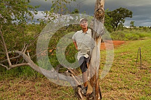Biologist out in the savannas of Brazil, inspecting a tree
