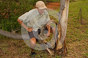 Biologist out in the savannas of Brazil, inspecting a tree