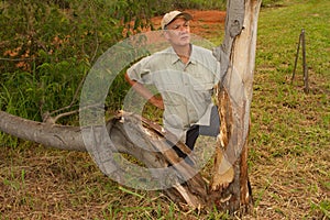 Biologist out in the savannas of Brazil, inspecting a tree