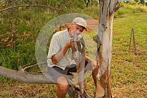 Biologist out in the savannas of Brazil, inspecting a tree