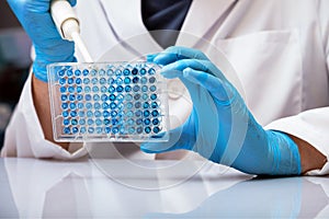 Biologist pipetting samples in micro plate in the laboratory