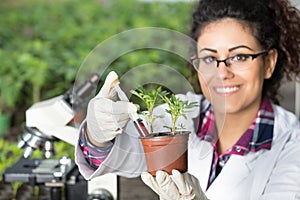 Biologist pouring chemicals in pot with sprout