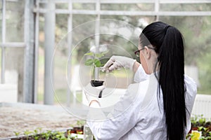 Biologist pouring liquid into flower pot with sprout