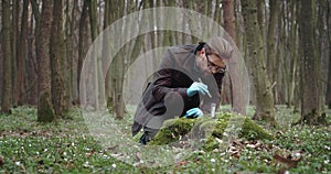 Biologist in rubber gloves taking part of moss for studying