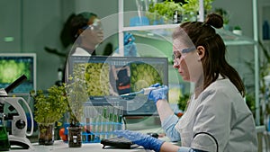 Biologist scientist putting solution liquid in test tube