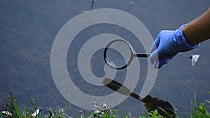 Biologist studying water microorganism in forest lake through magnifying glass