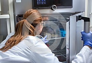 Biologist taking out samples from incubator