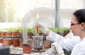 Biologist with test tube in greenhouse