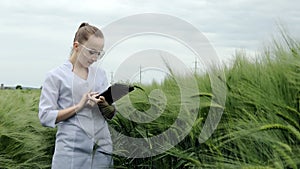 Biologist wearing white bathrobe is checking harvest progress on a tablet at the green wheat field. New crop of wheat is growing