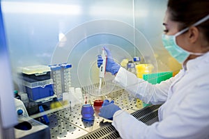 Biologist working in glow box in laboratory