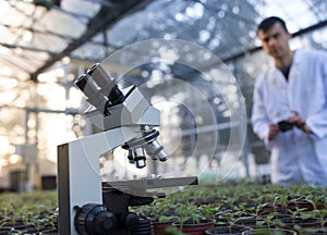 Biologist working with seedlings in background