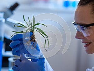 Biologist working with sprout in laboratory