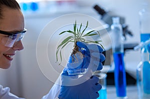 Biologist working with sprout in laboratory