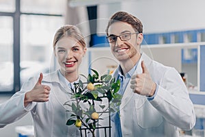 Biologists with lemon plant photo