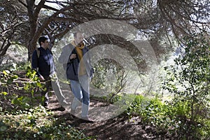 Biologists walking in mediterranean forest doing fieldwork photo