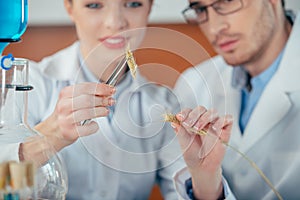 Biologists working in laboratory photo