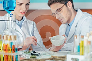 Biologists with petri dishes photo