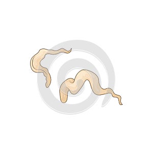 Illustration of Parasitism