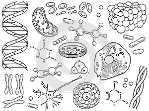 Biology and chemistry icons isolated