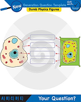 Biology, Education Chart of Biology for Animal and Plant Cell Diagram, next generation question template