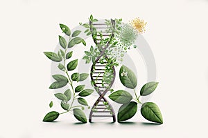 Biology laboratory nature and science DNA gene therapy. Plants with biochemistry structures on white backgrounds. Generative ai