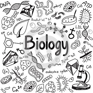 Biology science theory doodle handwriting and tool model icon in