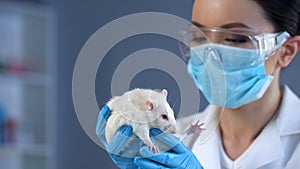 Biology scientist holding white lab rat in hands, animal laboratory testing