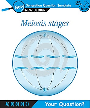 Biology - stages of mitosis and meiosis, next generation question template