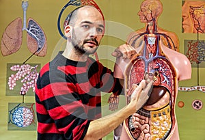 Biology teacher showing human torso model