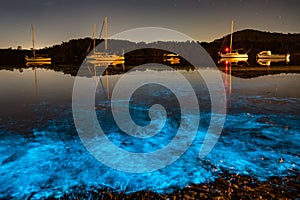 Bioluminescence glow in the bay nightscape with boats