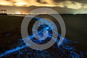 Bioluminescence. Illumination of plankton at Maldives.