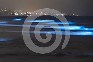 Bioluminescent tide glows in Del Mar, California. Urban lights in the background. photo