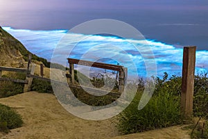 Long exposure of Beautiful Blue Bioluminescence at Black`s Beach in San Diego. Trail and wooden stairs in the foreground. photo