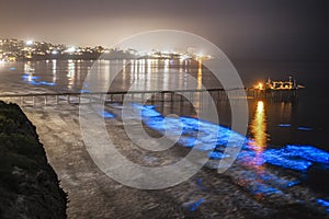 Bioluminescent tide glows around the Scripps Pier in La Jolla, California photo