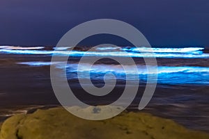 Bioluminescent tide glows in Del Mar, California photo