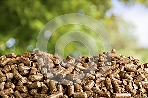 Biomass photo