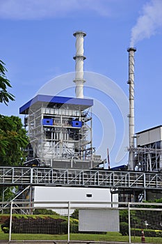 Biomass-burning power plant