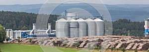 Biomass cogeneration plant