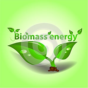 Biomass energy