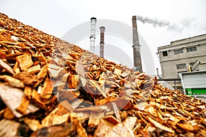 Biomass energy factory