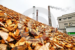 Biomass energy factory photo