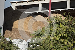 biomass plant or heating plant for local supplys