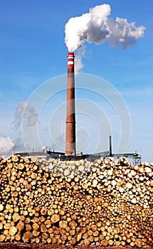 Biomass Power Plant