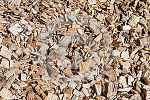 Biomass woodchip in storage pit