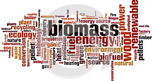 Biomass word cloud