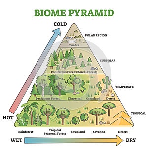 Biome pyramid as ecological weather or climate classification outline diagram photo