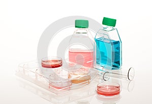 Biomedical diagnostic photo